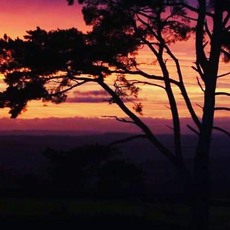 Shepherds Knapp Lodge-Uk13284 Blackpool Corner Εξωτερικό φωτογραφία